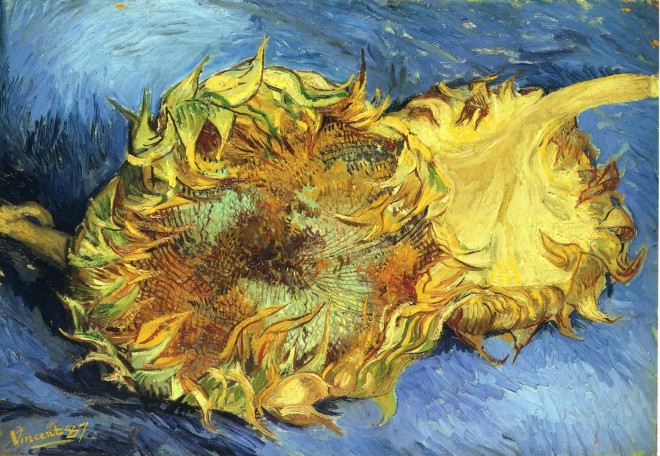 still-life-with-two-yellow-sunflowers